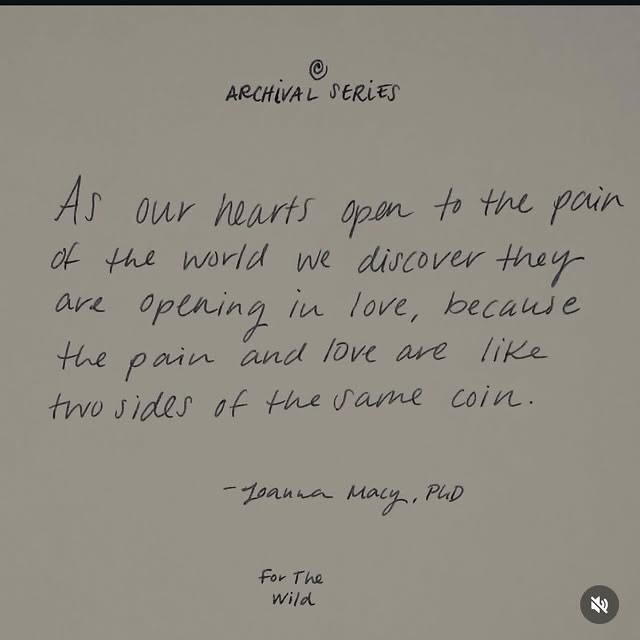 Thumbnail of www-instagram-com-p-dwh8pwffycx 5