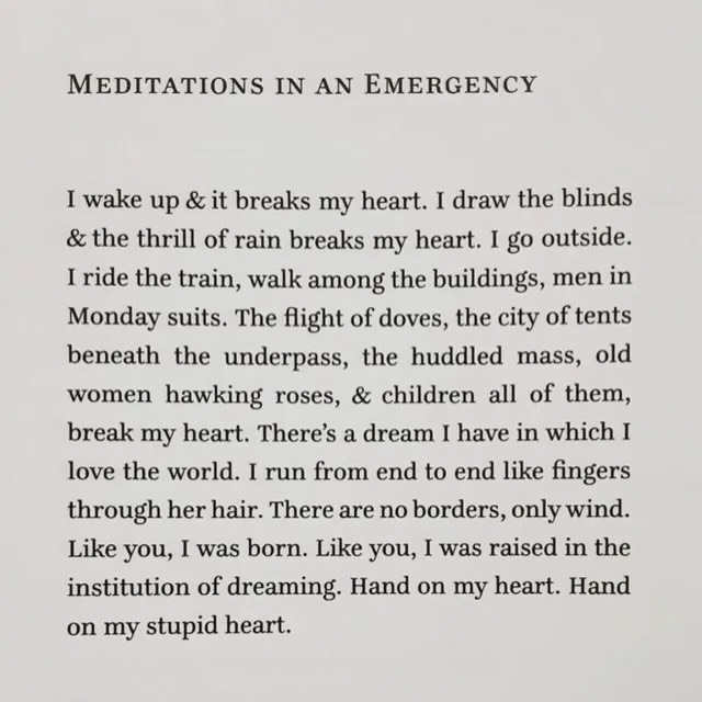 Thumbnail of www-instagram-com-p-dwh8pwffycx 9