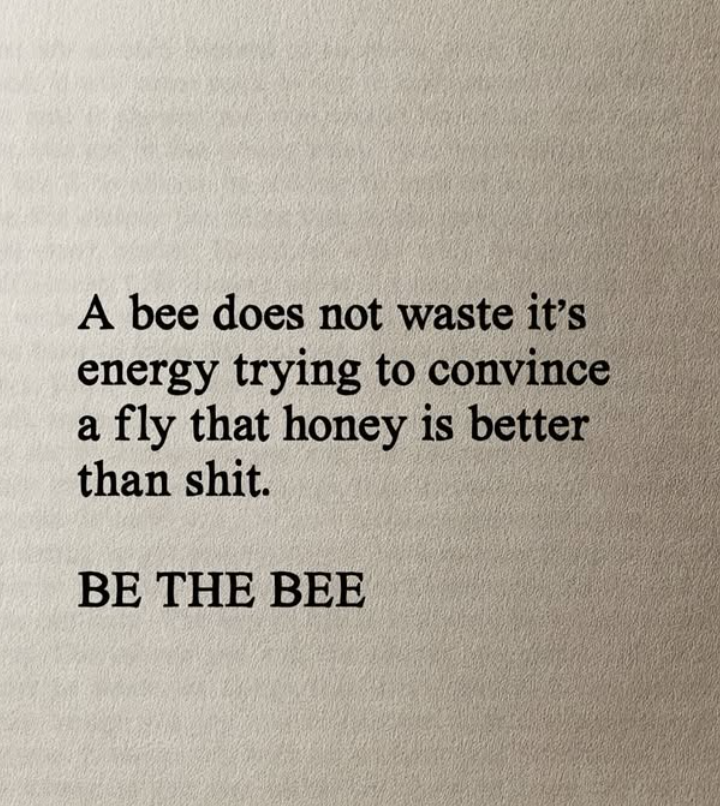 Thumbnail of quiet-wisdom-quietwisdom-997f02fea2ea4806 0