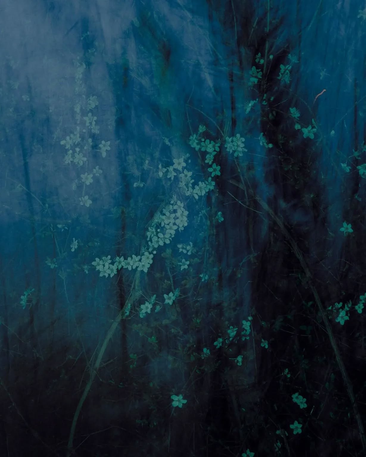 Thumbnail of p-cp5o5ganeuc-99cbb48f173b43d0 2