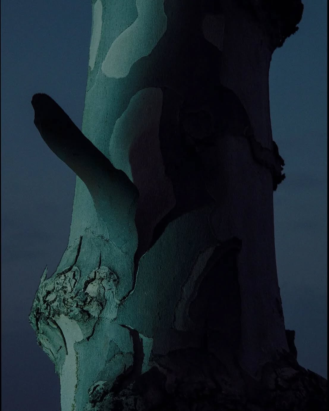 Thumbnail of p-cp5o5ganeuc-99cbb48f173b43d0 3