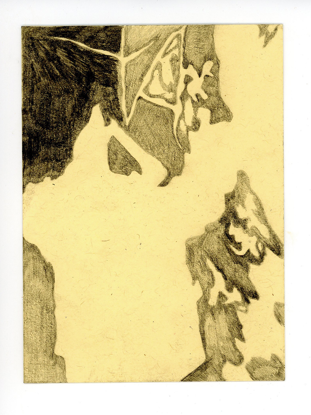 Thumbnail of hannah-sellers-catdroool 0