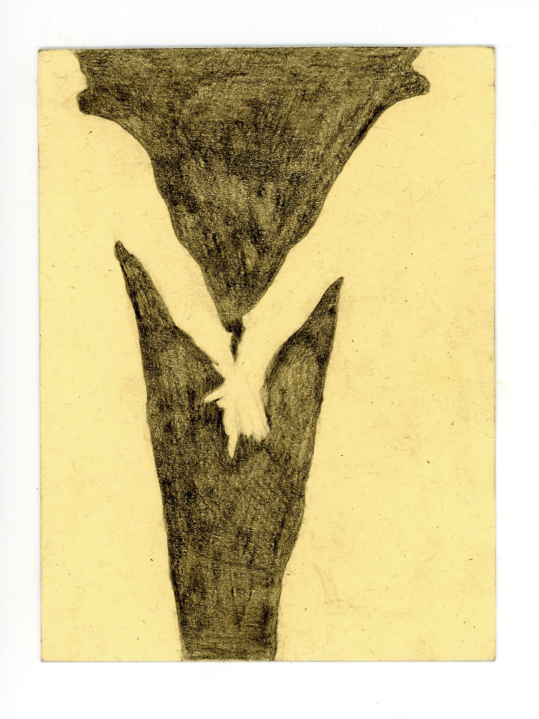 Thumbnail of hannah-sellers-catdroool 1