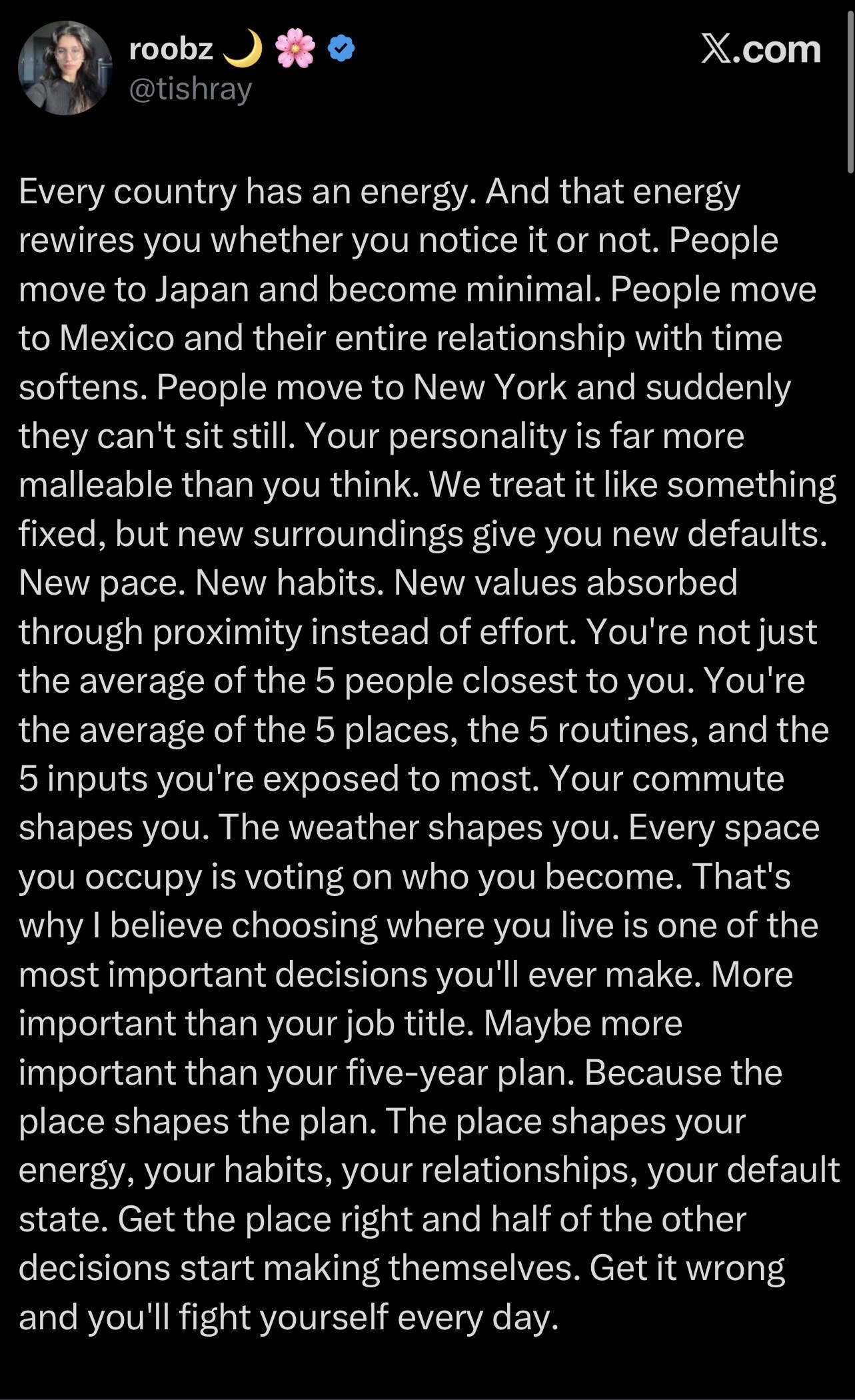 Thumbnail of negin-sairafi-neginsairafi 0