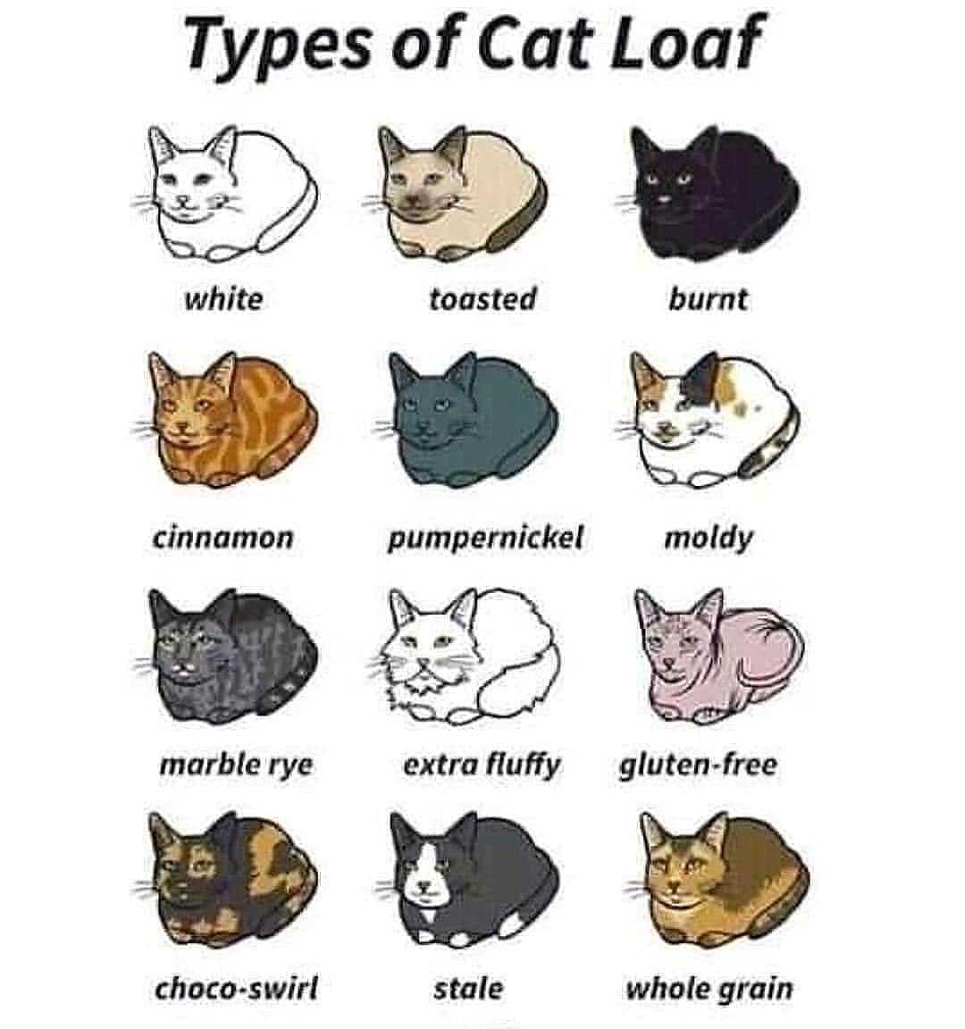 Thumbnail of p-csxcejaky8q-9b8bda322cb94170 0