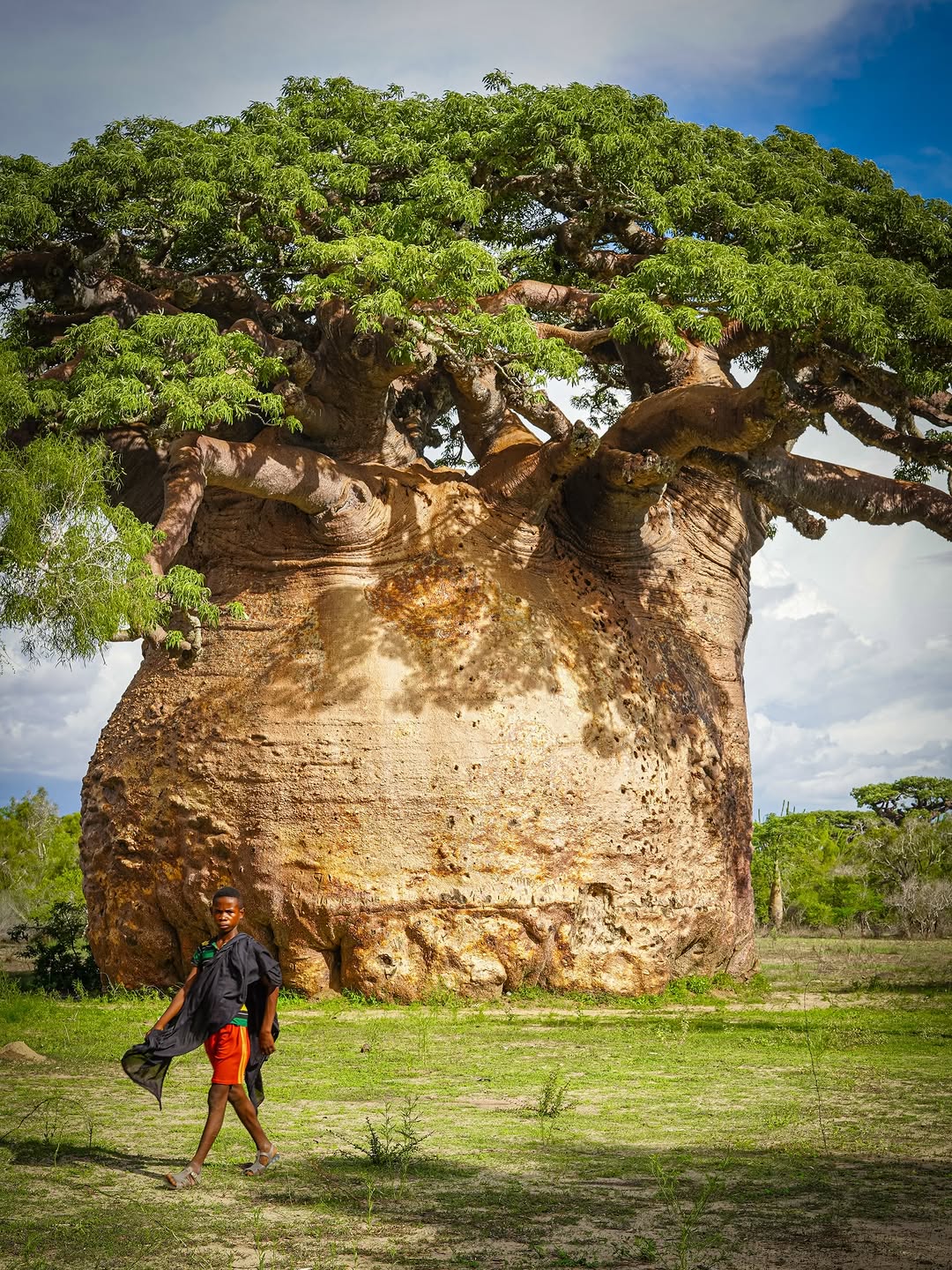 Thumbnail of www-instagram-com-p-dtx9di3cpuy-img-index-2 0