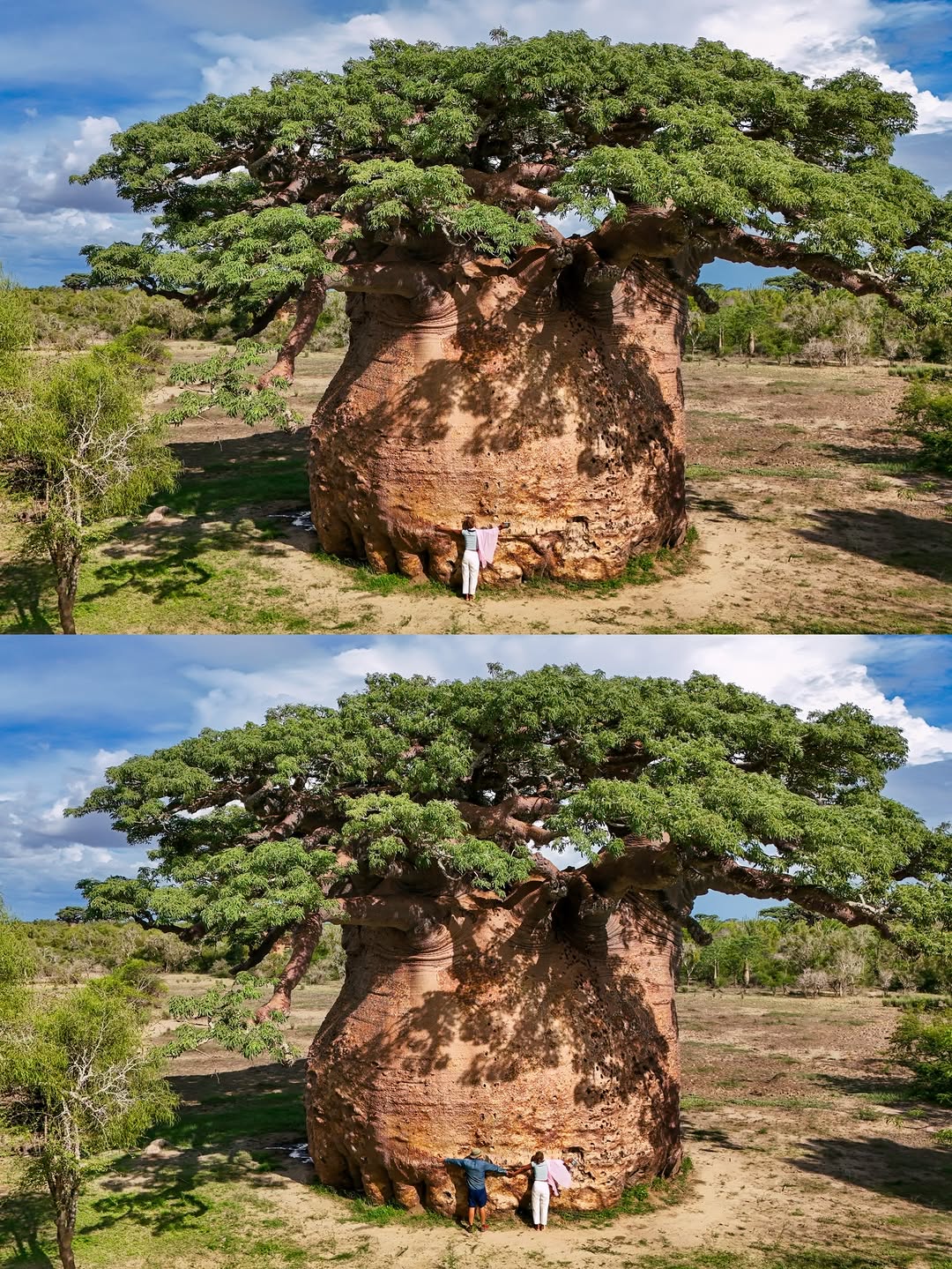 Thumbnail of www-instagram-com-p-dtx9di3cpuy-img-index-2 2