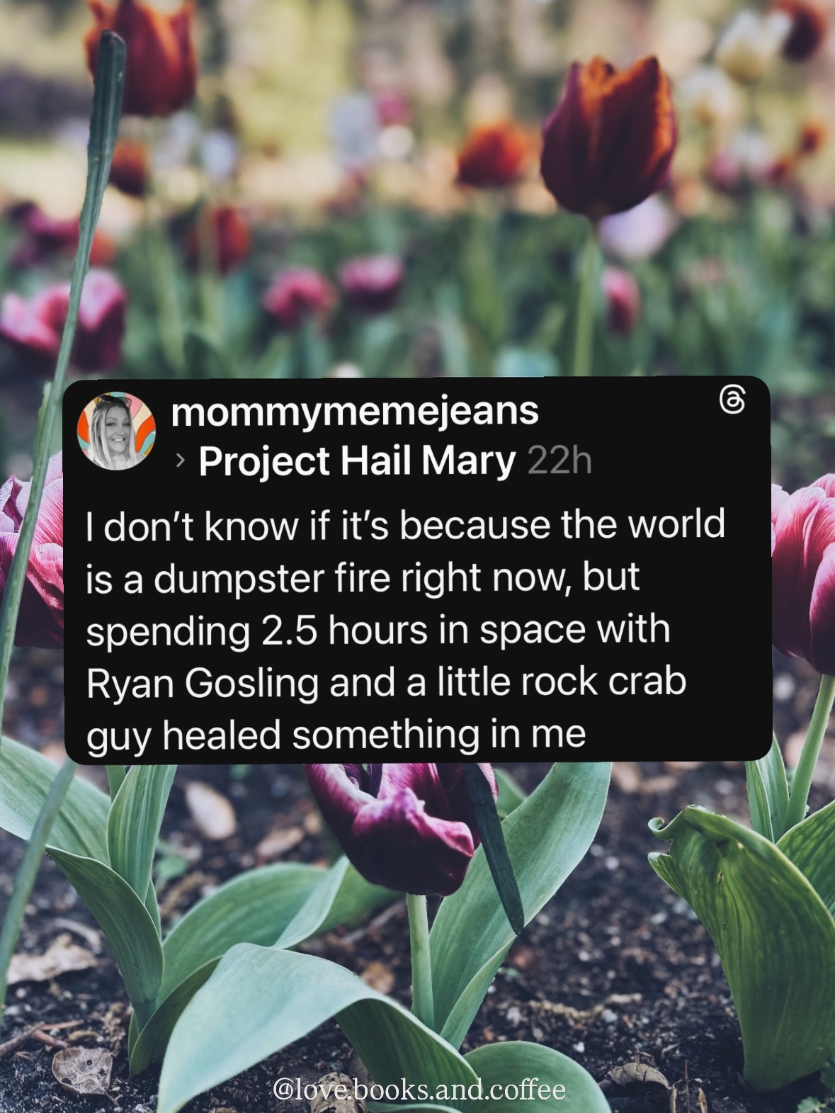 Thumbnail of p-dwnhu1rfc2c-9c0a7fd42363444a 3