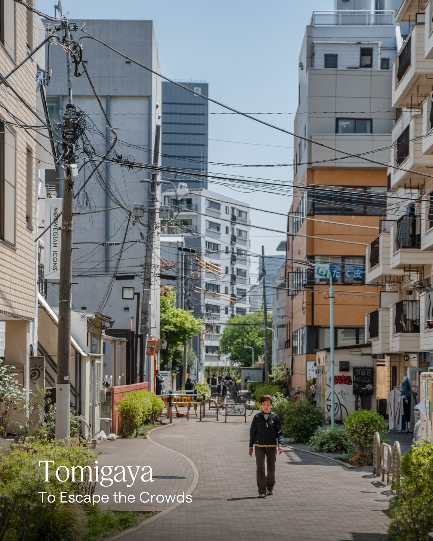 Thumbnail of p-dkj4kqko9rq-9cb2b939a8304000 1