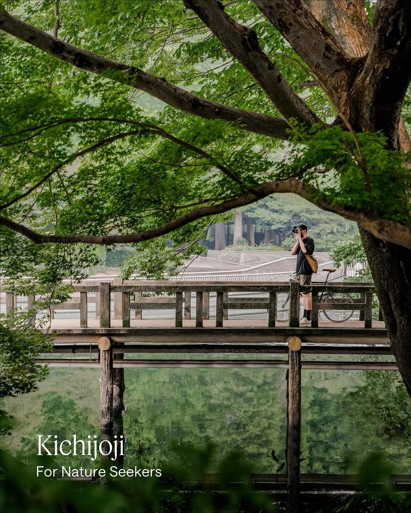 Thumbnail of p-dkj4kqko9rq-9cb2b939a8304000 5