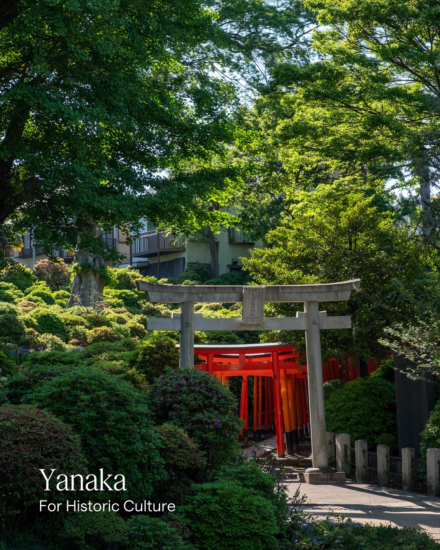 Thumbnail of p-dkj4kqko9rq-9cb2b939a8304000 6