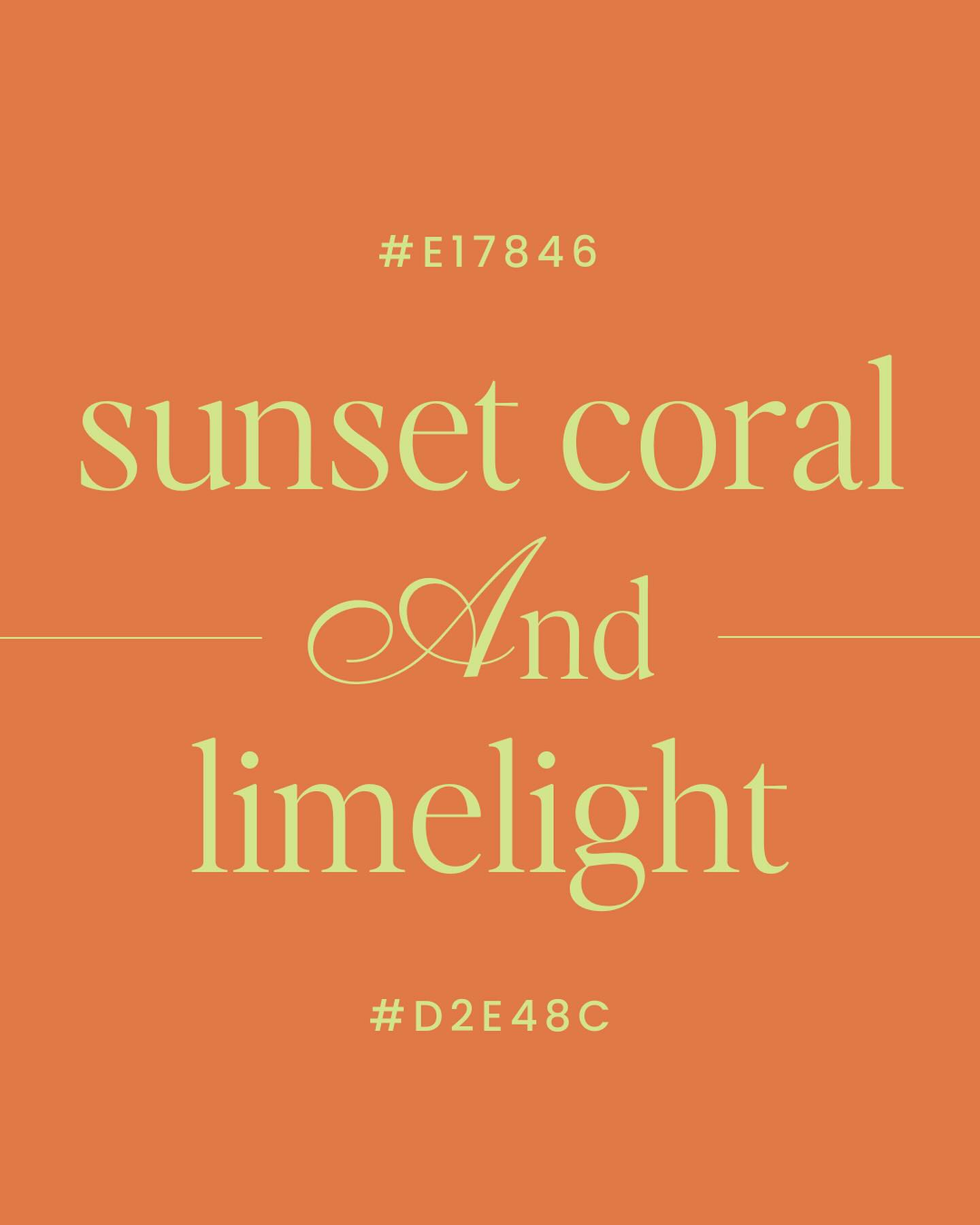 Thumbnail of p-c6m4rgzjdtn-9cb4e56c31b241d5 4
