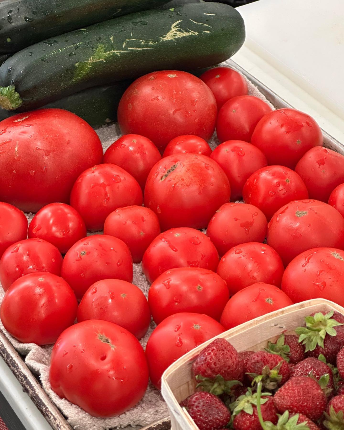 Thumbnail of c-s5cwbbpo5-9d69285f39384f78 2