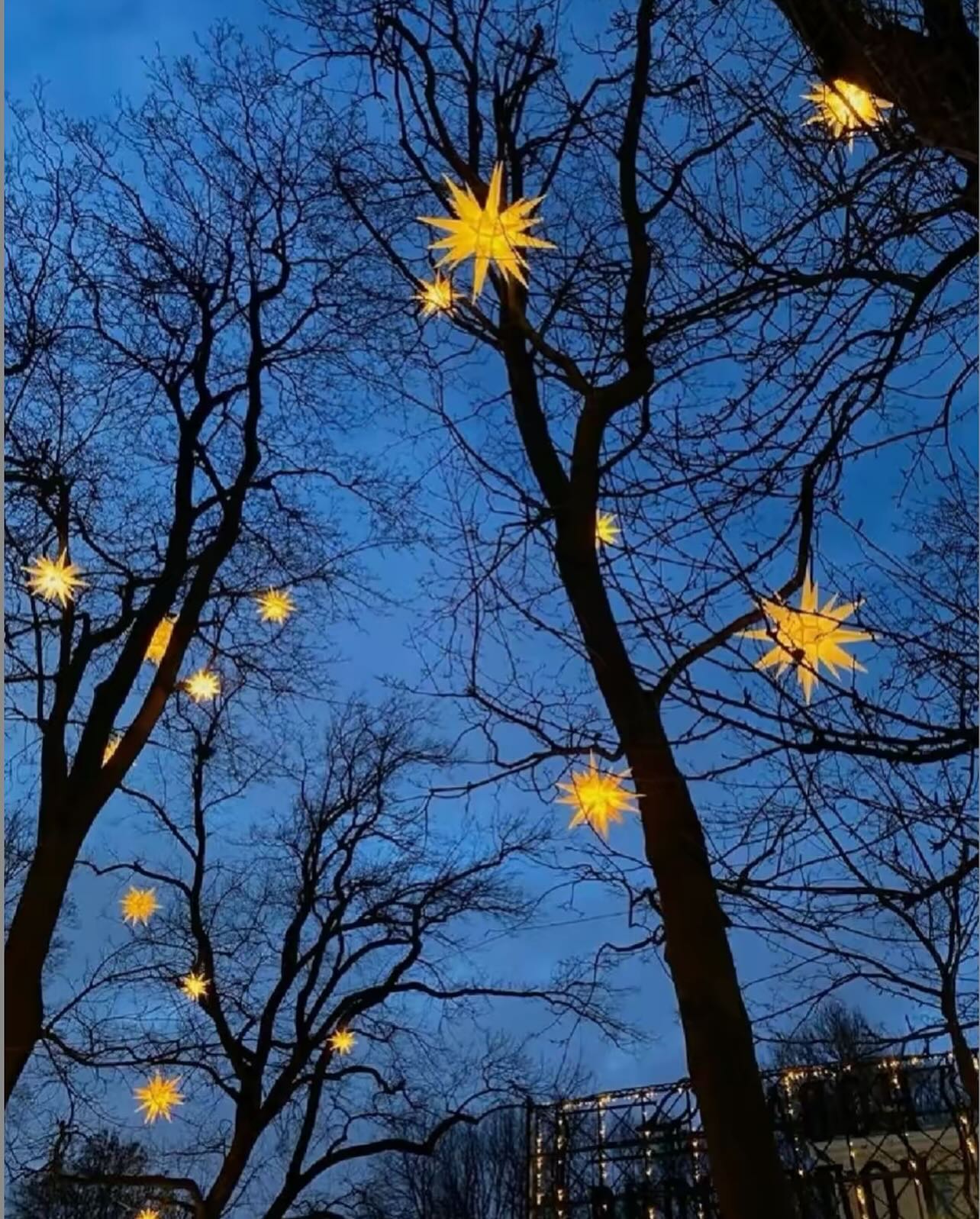 Thumbnail of p-ddlzlrbvhnn-a17ba72ab0fb4d6f 12