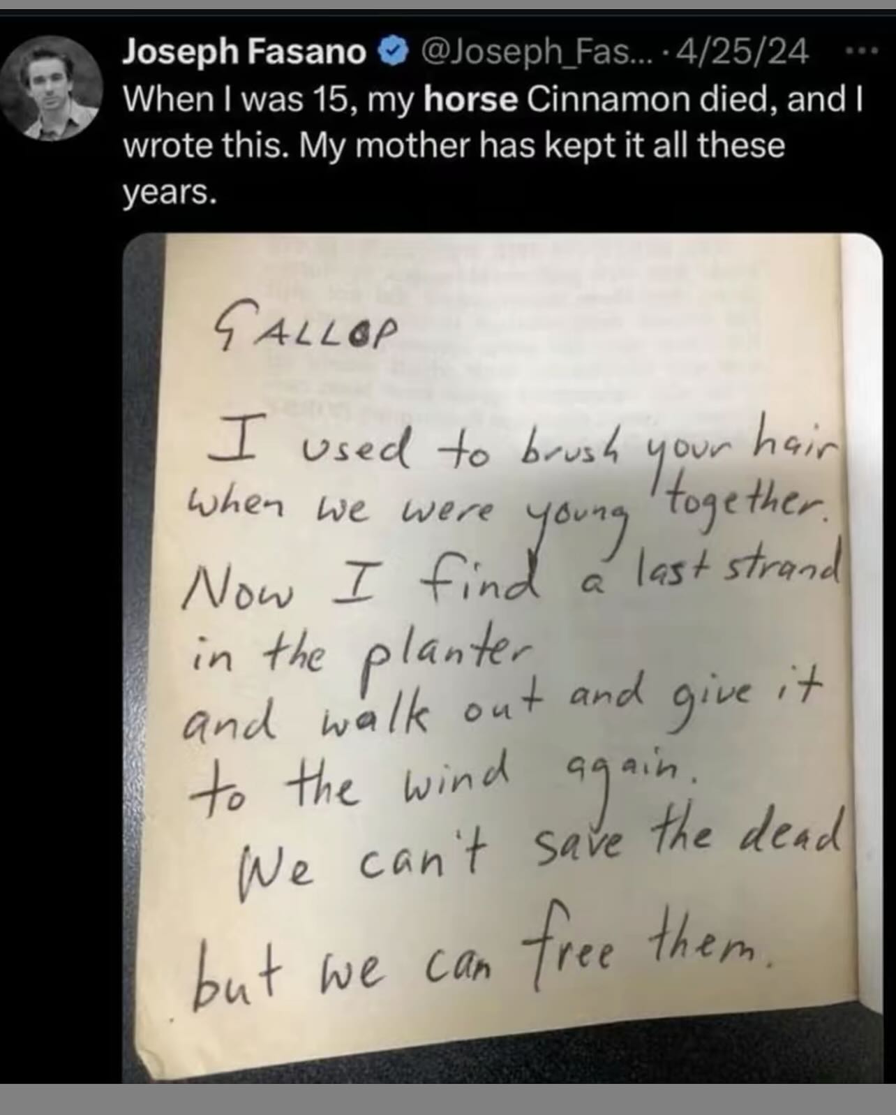 Thumbnail of p-ddlzlrbvhnn-a17ba72ab0fb4d6f 4