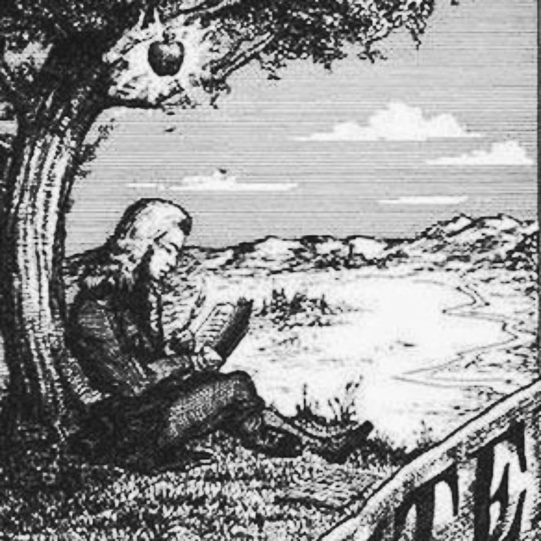 Thumbnail of www-instagram-com-p-dedsx2vo6oh 3