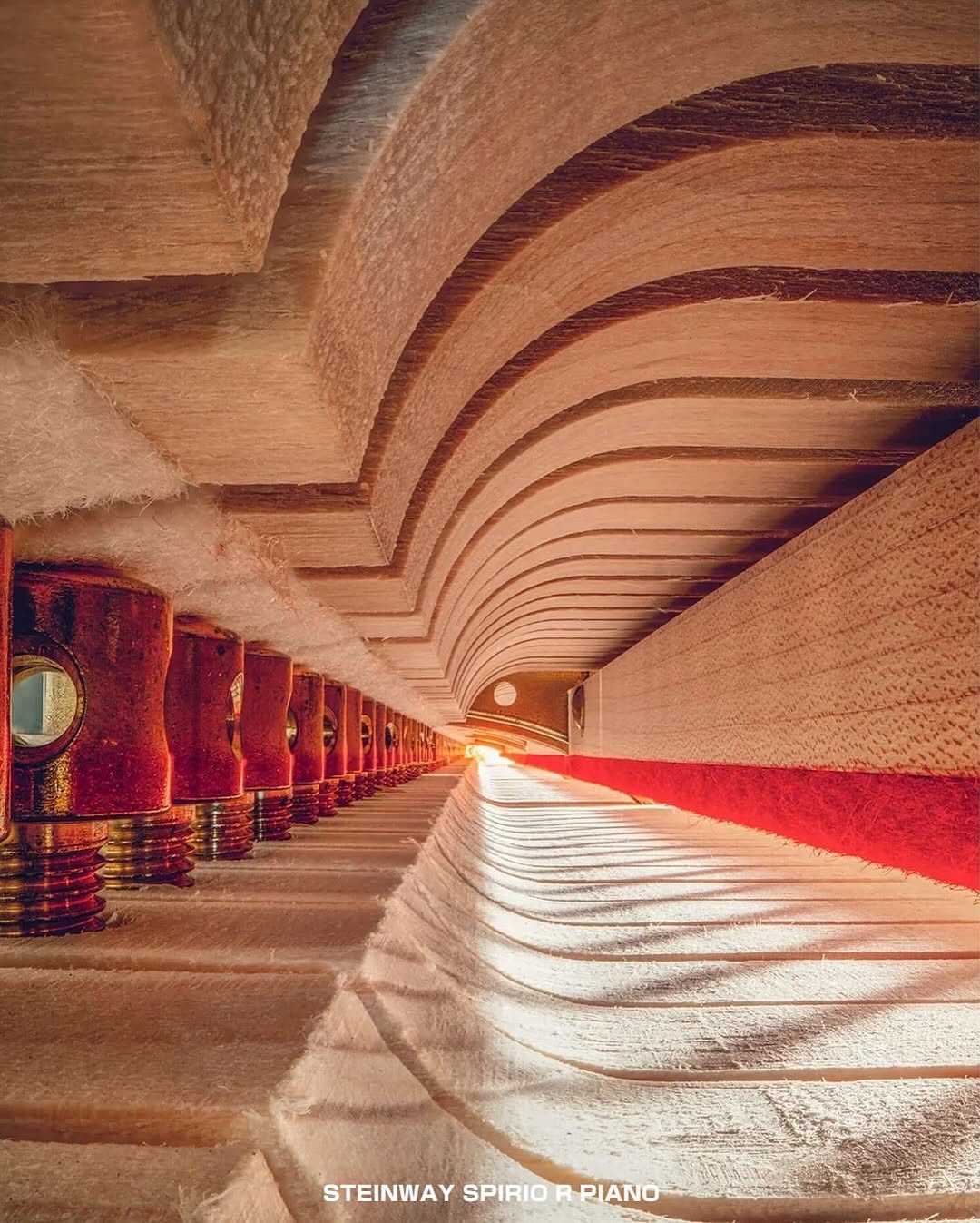 Thumbnail of www-instagram-com-p-dqhdpbpdnuy-img-index-14 3