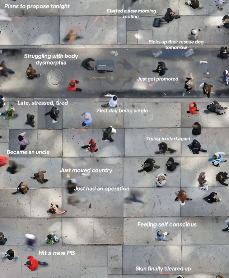 Thumbnail of www-instagram-com-p-dwavuryjlj9 1