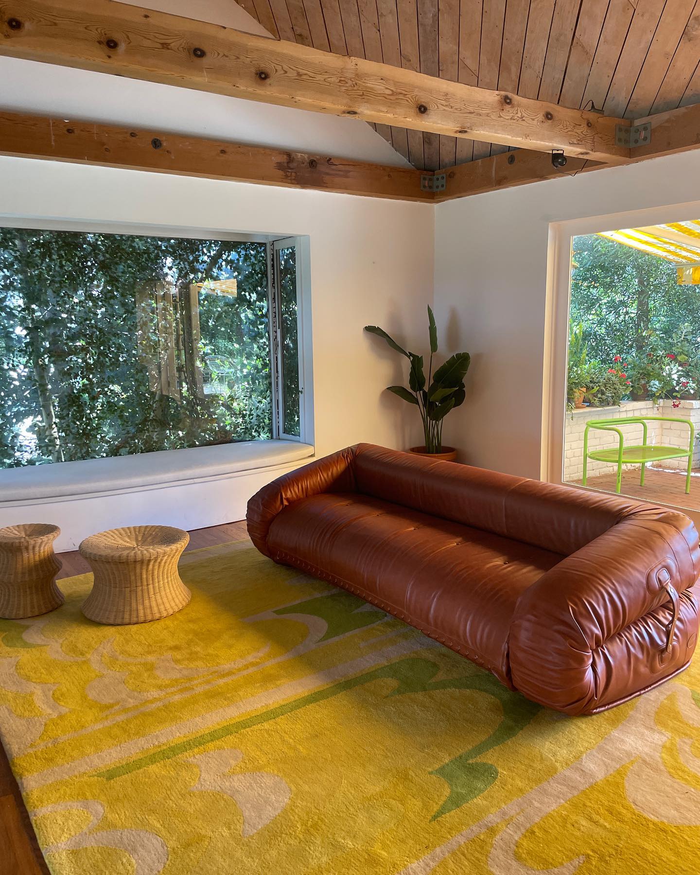 Thumbnail of p-cscx5ccpjfb-a969f7ca268f4042 4