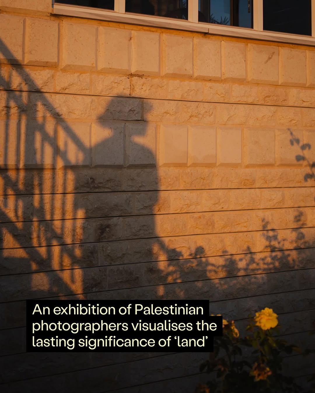 Thumbnail of www-instagram-com-p-dtinpwllpsc 0