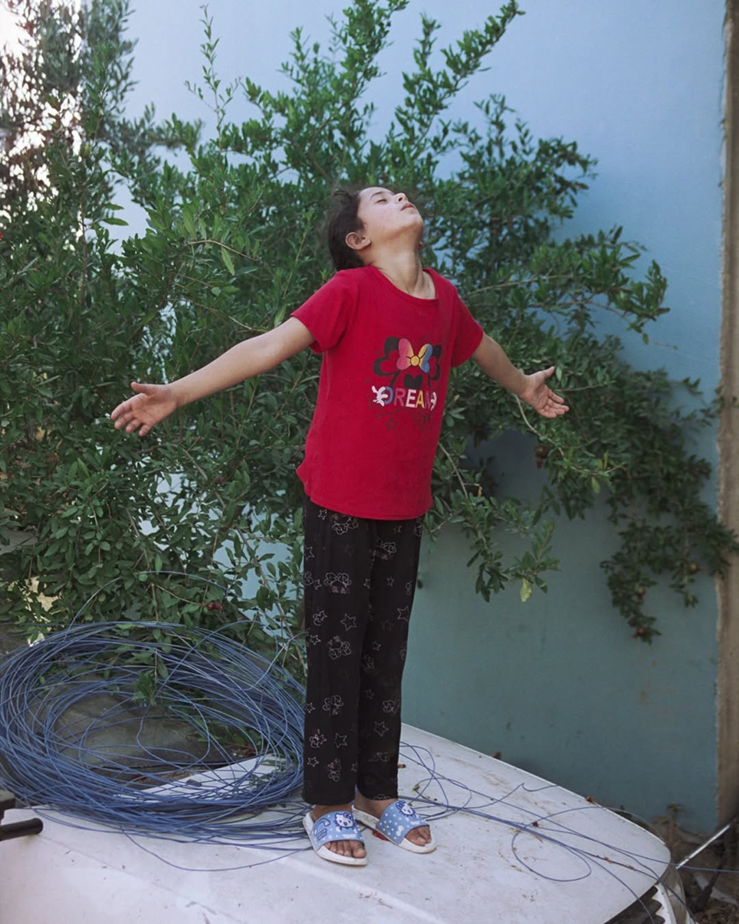 Thumbnail of www-instagram-com-p-dtinpwllpsc 3