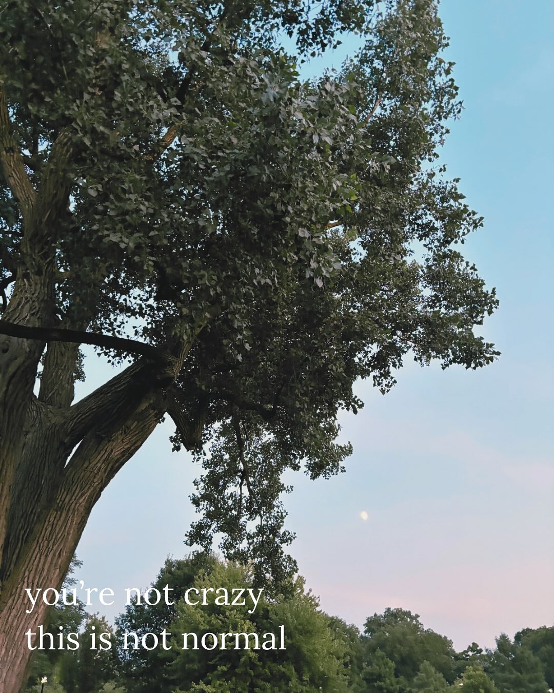 Thumbnail of dnor-yqxrq8-ab052b0e1e0148eb 0