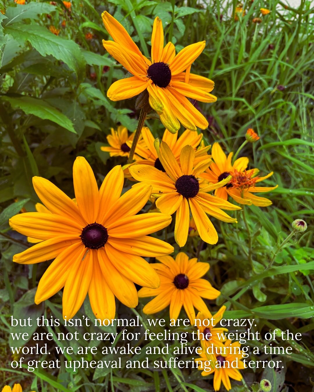 Thumbnail of dnor-yqxrq8-ab052b0e1e0148eb 10