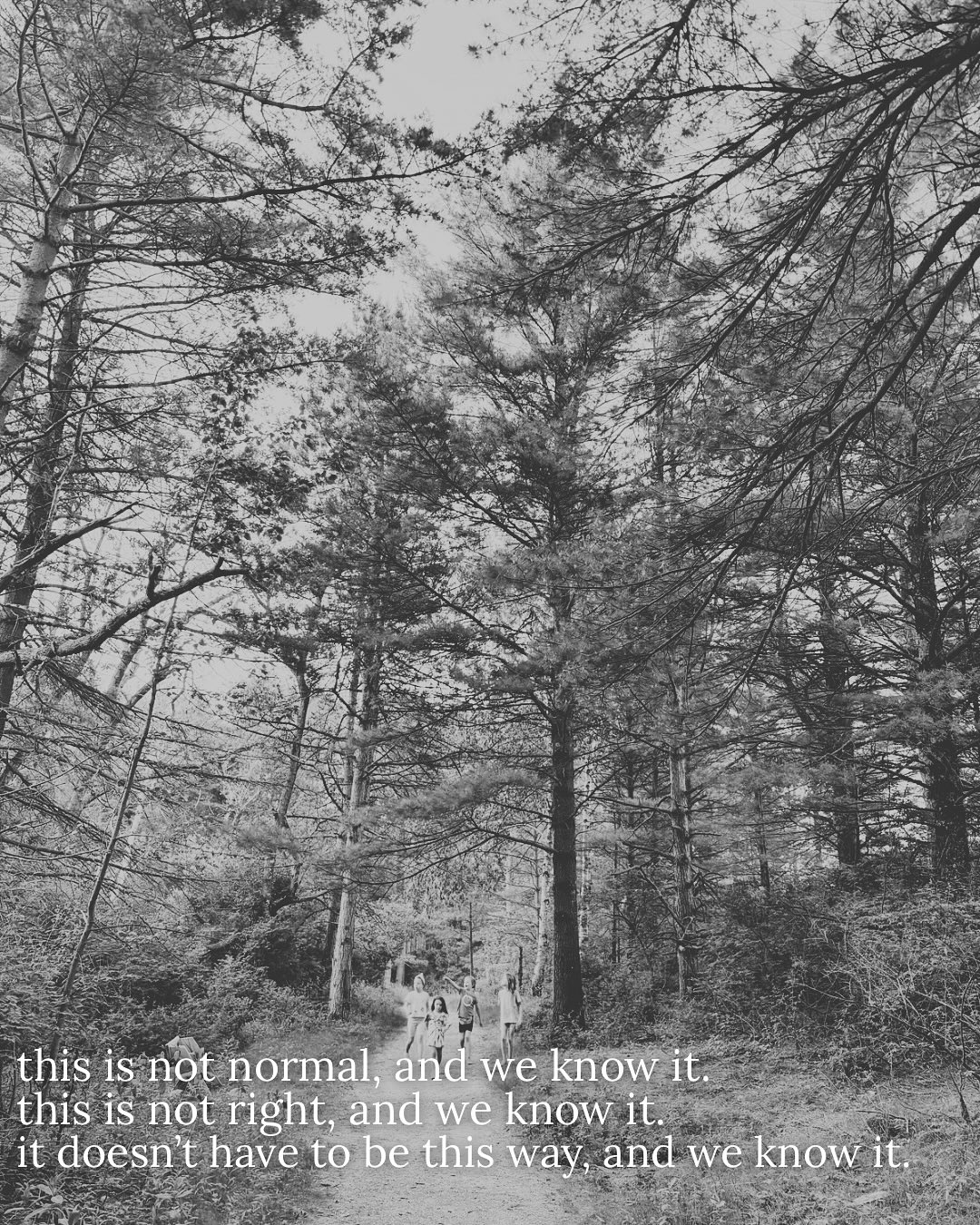 Thumbnail of dnor-yqxrq8-ab052b0e1e0148eb 11