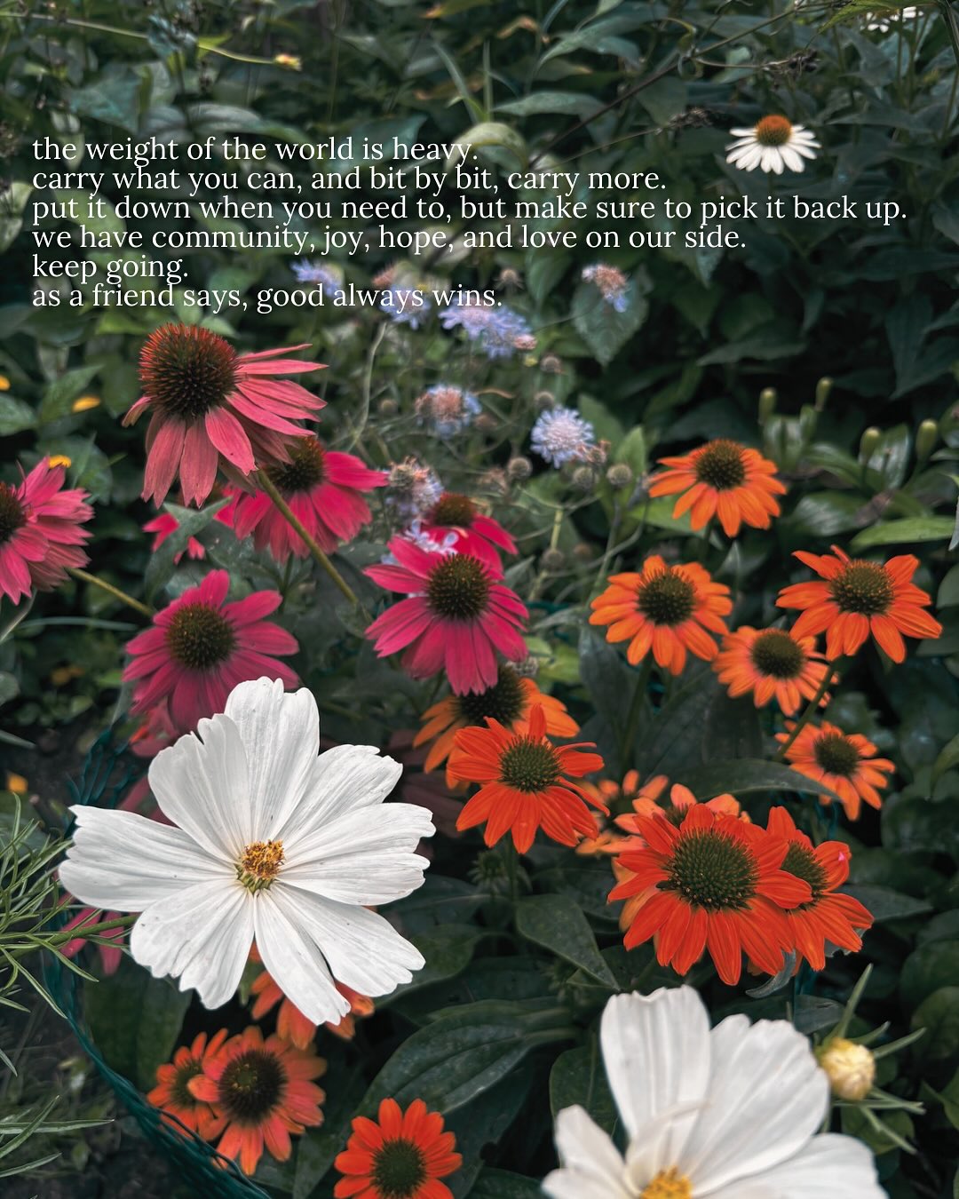 Thumbnail of dnor-yqxrq8-ab052b0e1e0148eb 13