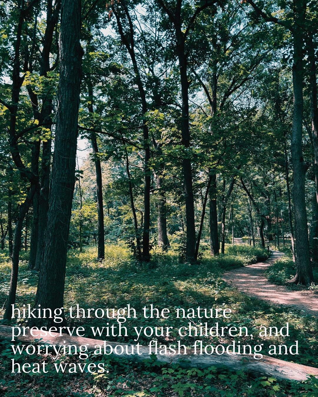 Thumbnail of dnor-yqxrq8-ab052b0e1e0148eb 2