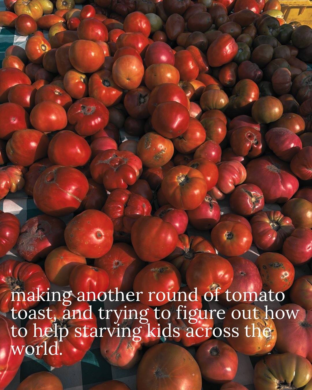 Thumbnail of dnor-yqxrq8-ab052b0e1e0148eb 5