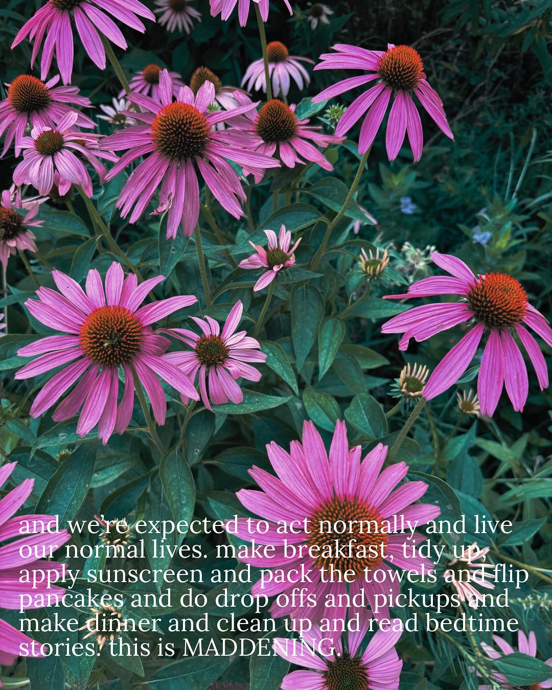 Thumbnail of dnor-yqxrq8-ab052b0e1e0148eb 9