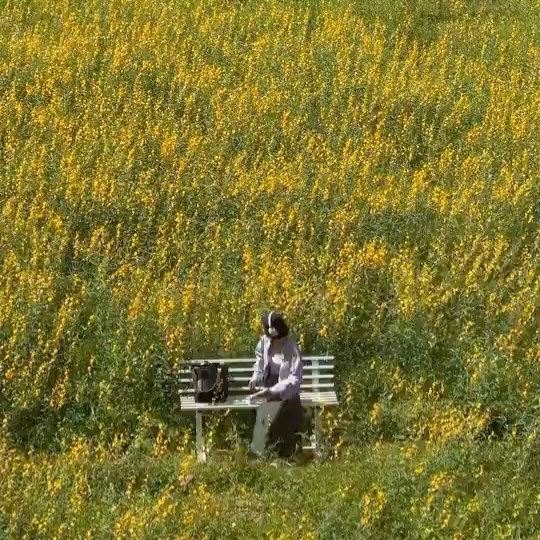 Thumbnail of p-deitv2pof1x-af1ae43d20f64469 1