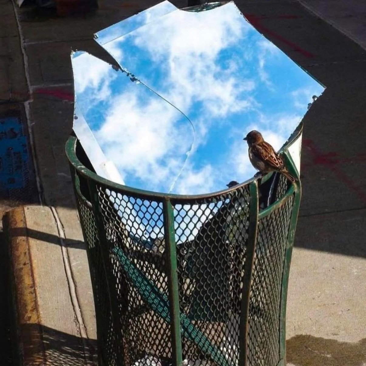 Thumbnail of p-deitv2pof1x-af1ae43d20f64469 5