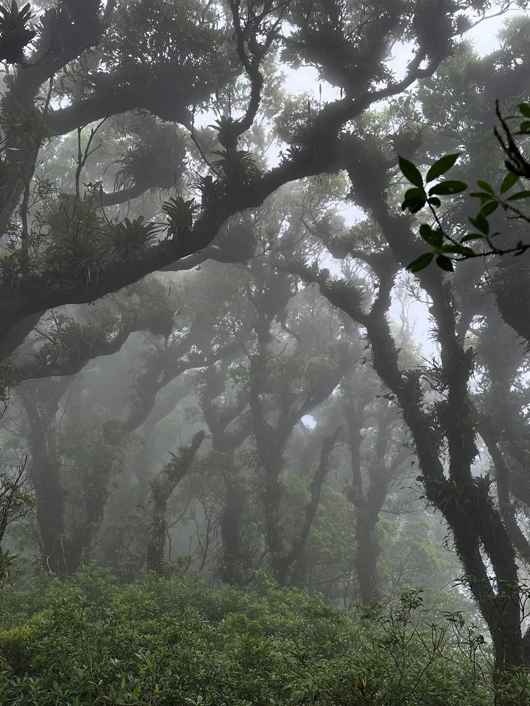 Thumbnail of www-instagram-com-p-dtvx-7bjcyi 0