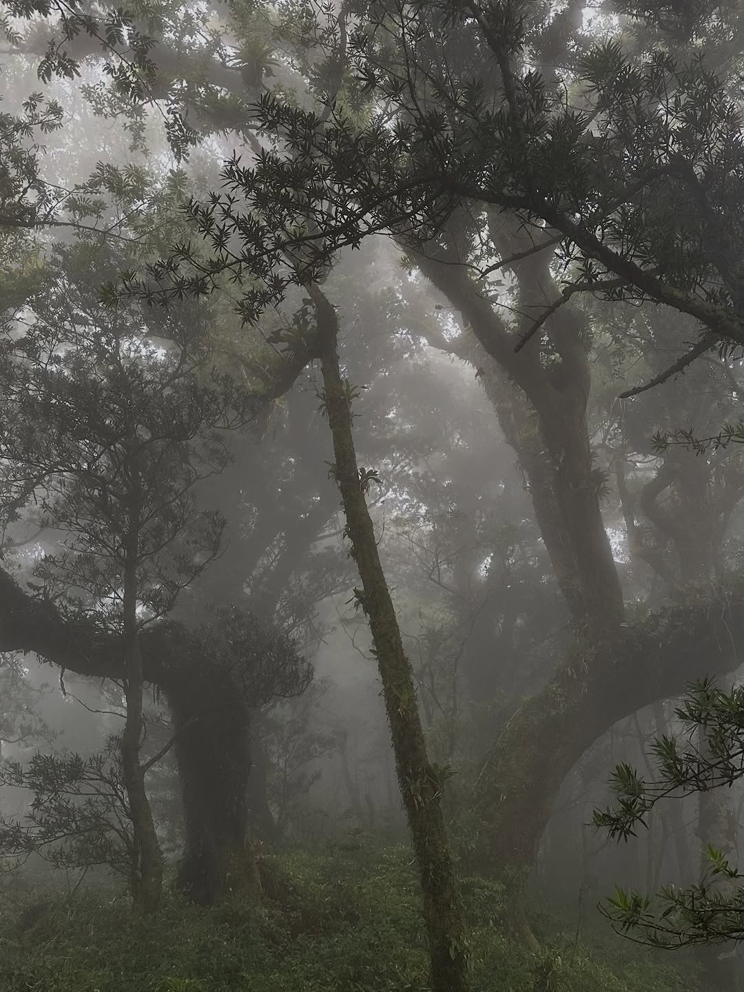 Thumbnail of www-instagram-com-p-dtvx-7bjcyi 1