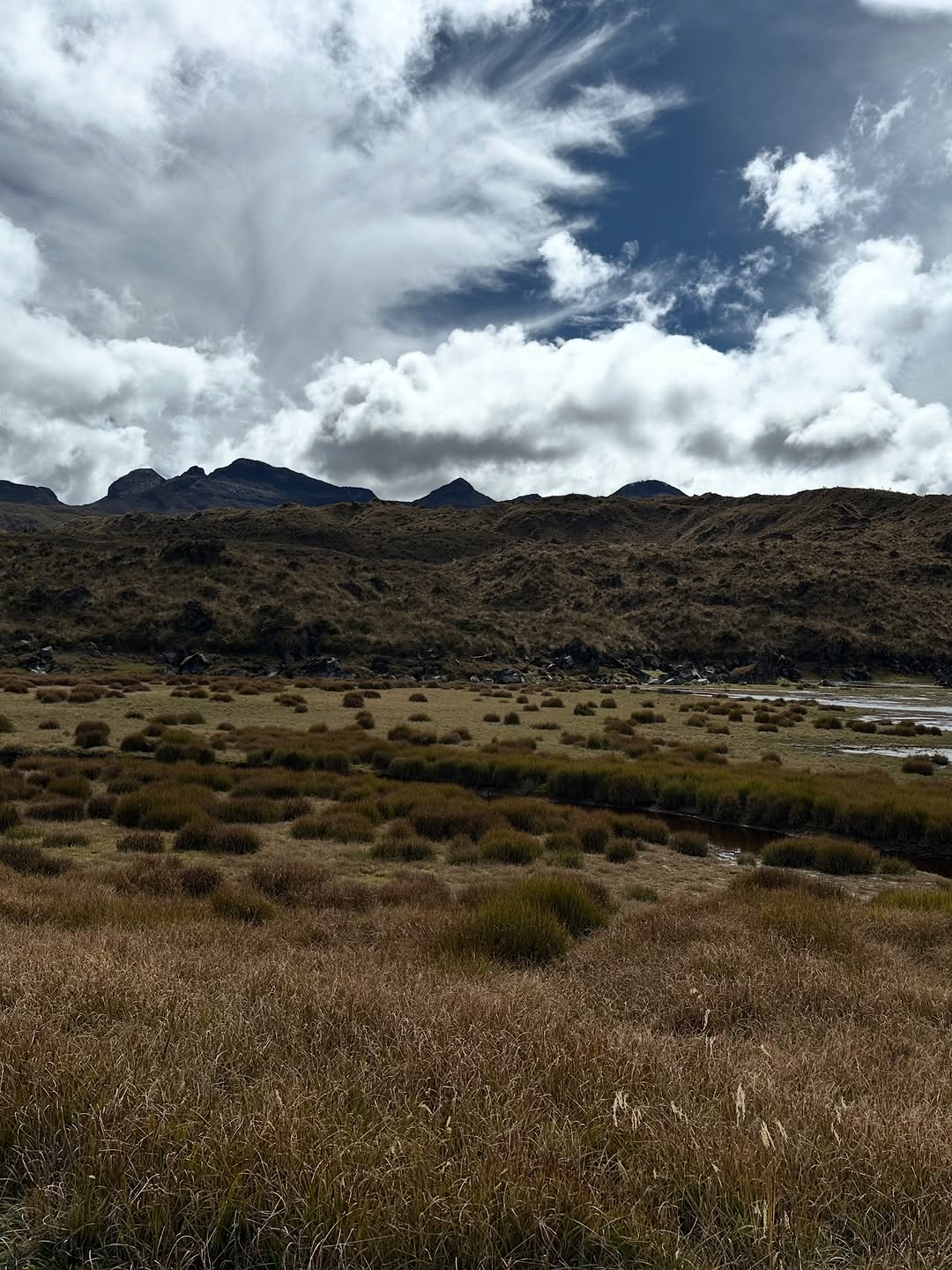 Thumbnail of www-instagram-com-p-dtvx-7bjcyi 12