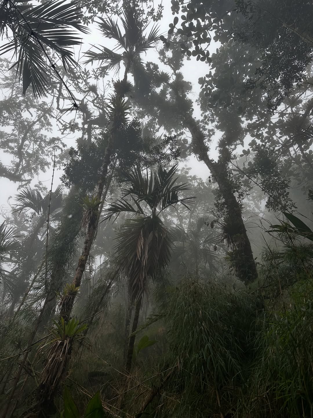 Thumbnail of www-instagram-com-p-dtvx-7bjcyi 13