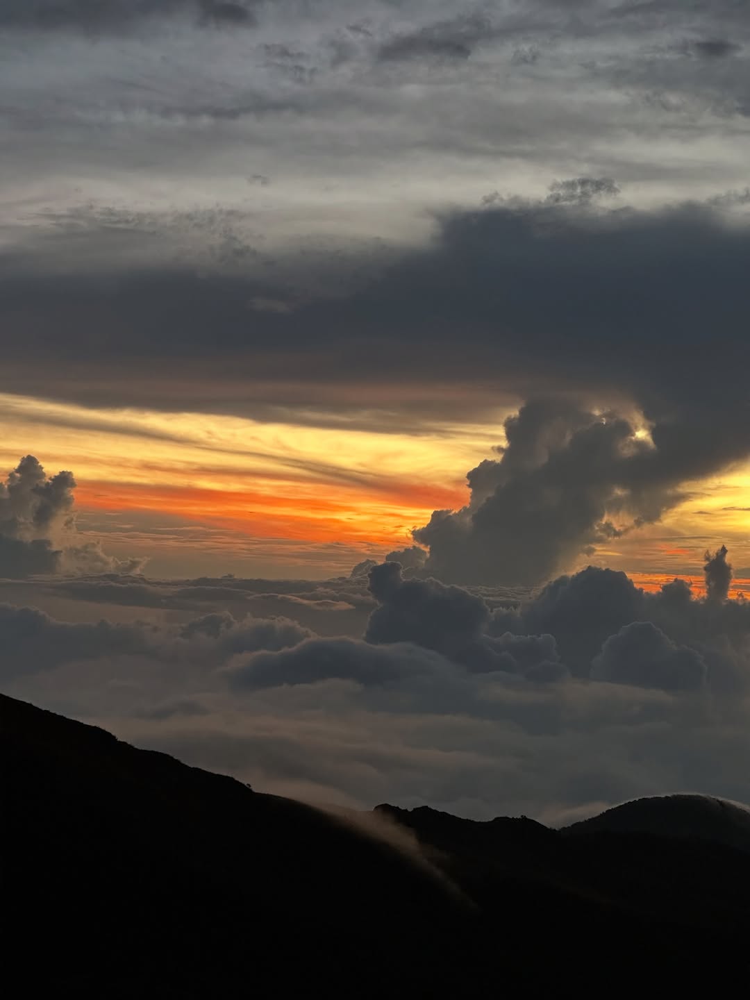 Thumbnail of www-instagram-com-p-dtvx-7bjcyi 14