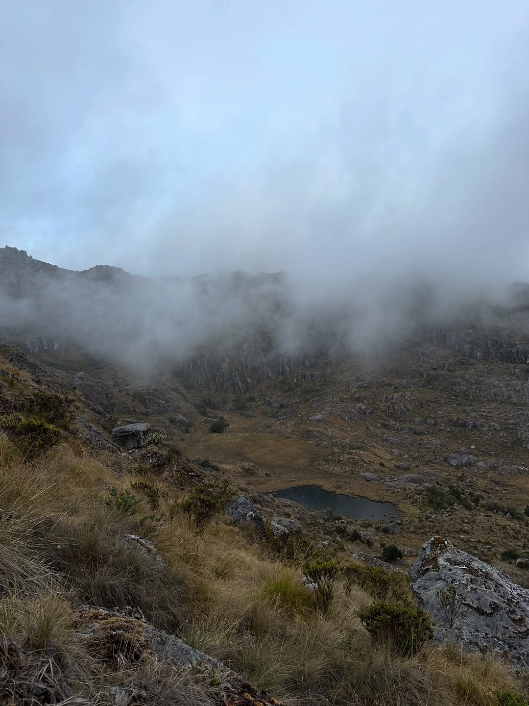 Thumbnail of www-instagram-com-p-dtvx-7bjcyi 15