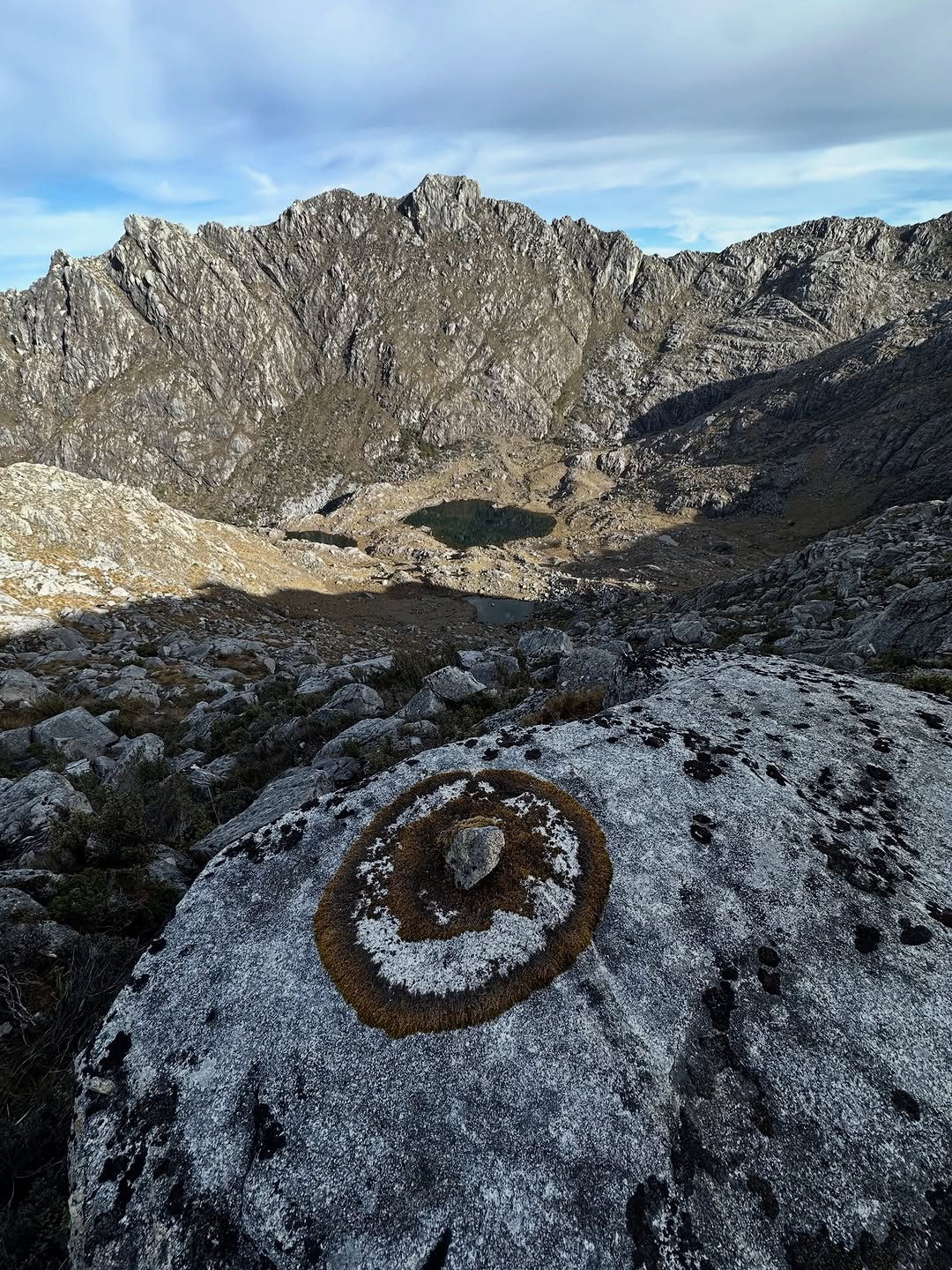 Thumbnail of www-instagram-com-p-dtvx-7bjcyi 16