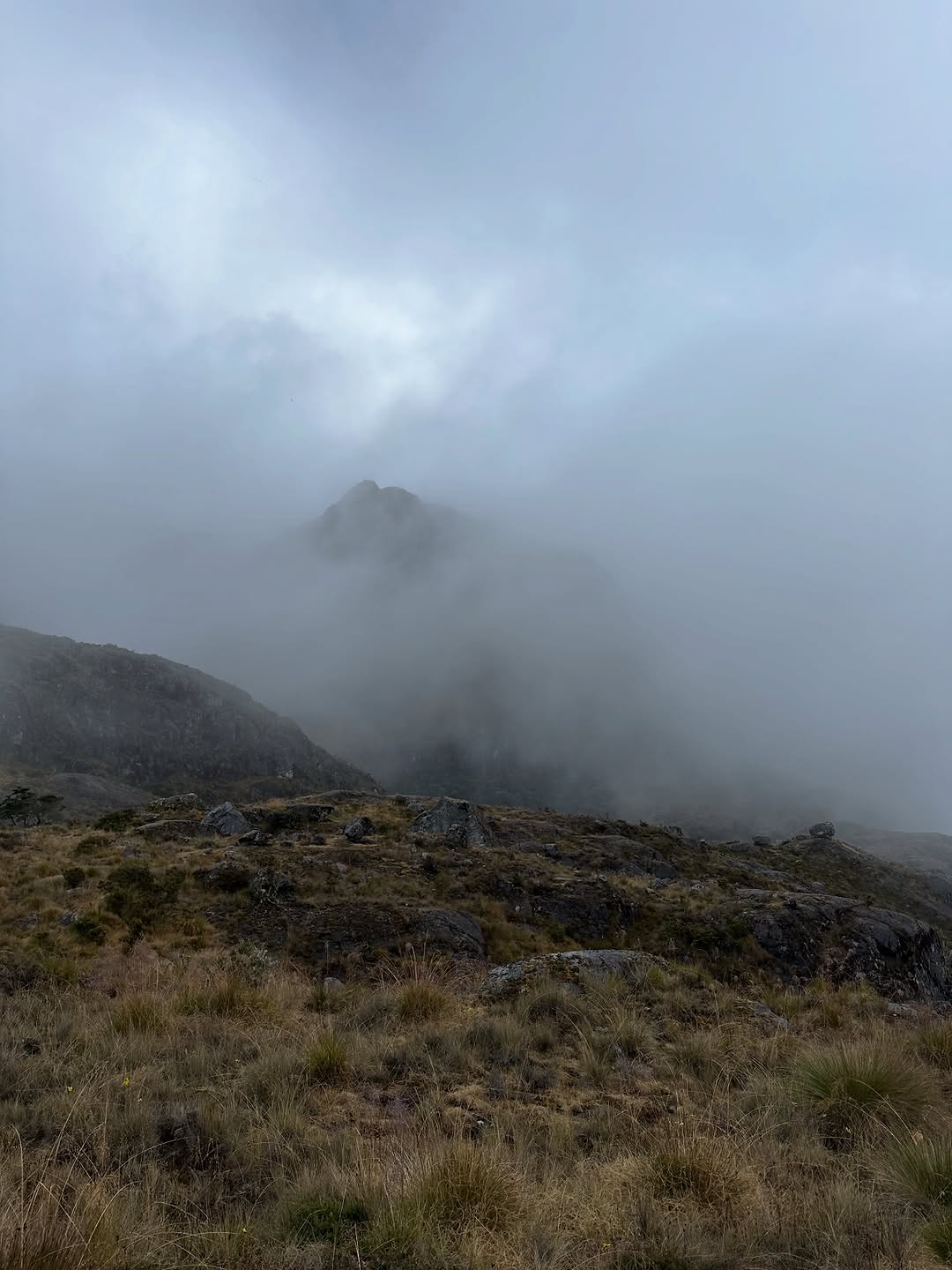 Thumbnail of www-instagram-com-p-dtvx-7bjcyi 17