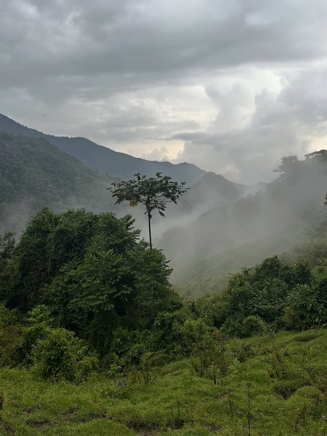 Thumbnail of www-instagram-com-p-dtvx-7bjcyi 18