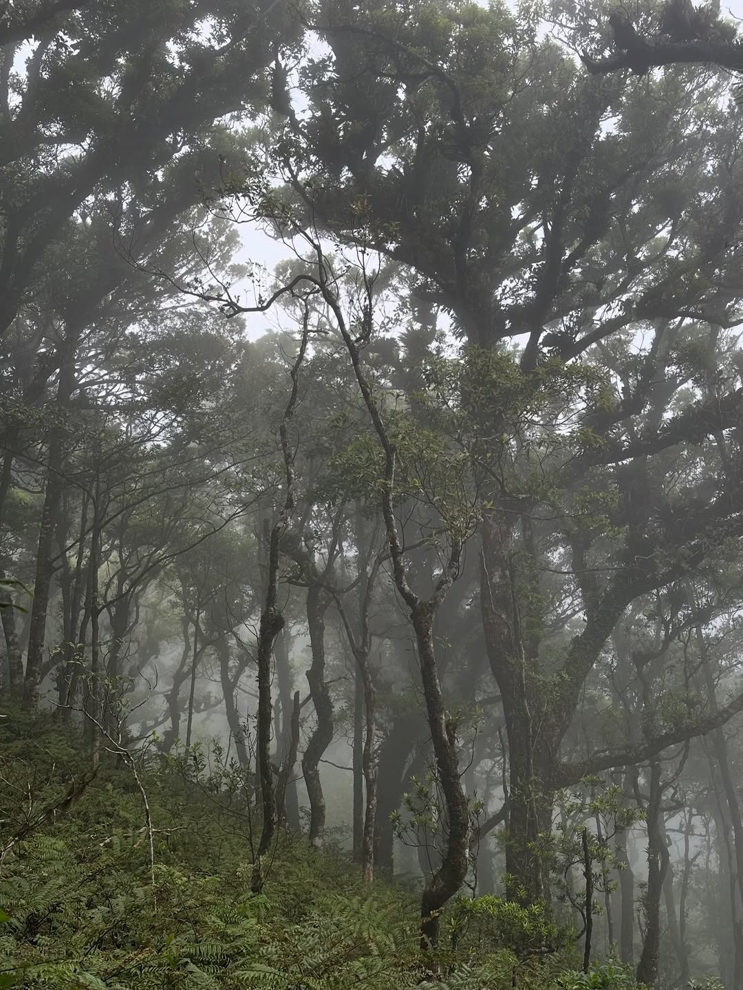 Thumbnail of www-instagram-com-p-dtvx-7bjcyi 2