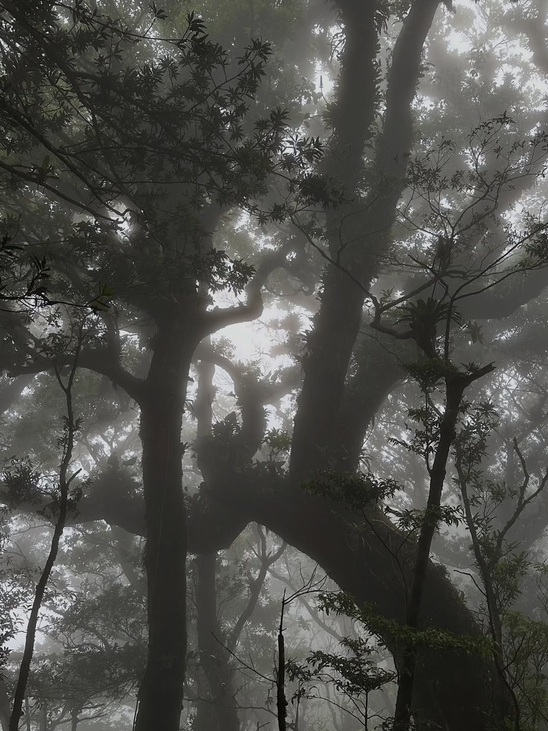 Thumbnail of www-instagram-com-p-dtvx-7bjcyi 3