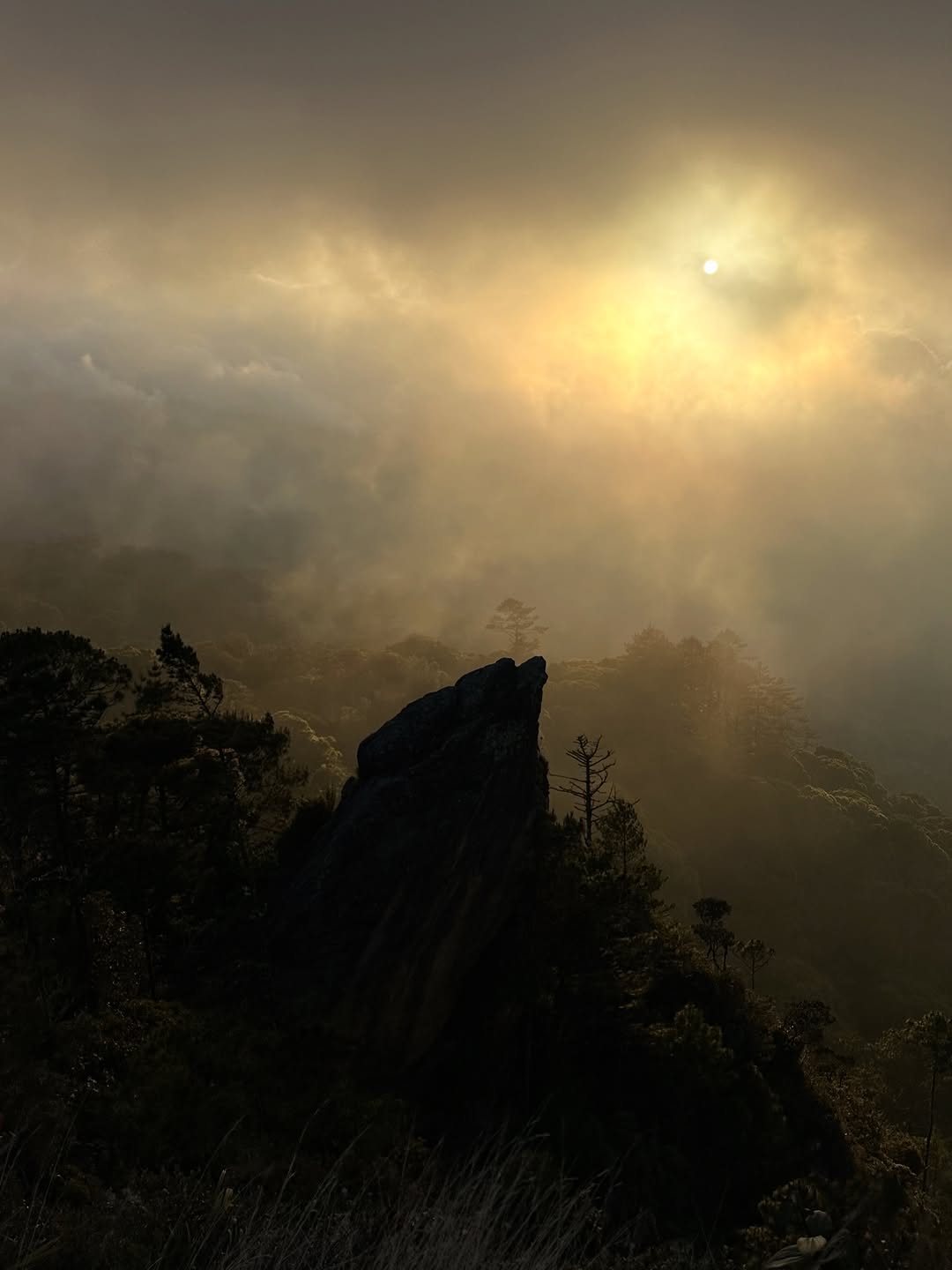 Thumbnail of www-instagram-com-p-dtvx-7bjcyi 4