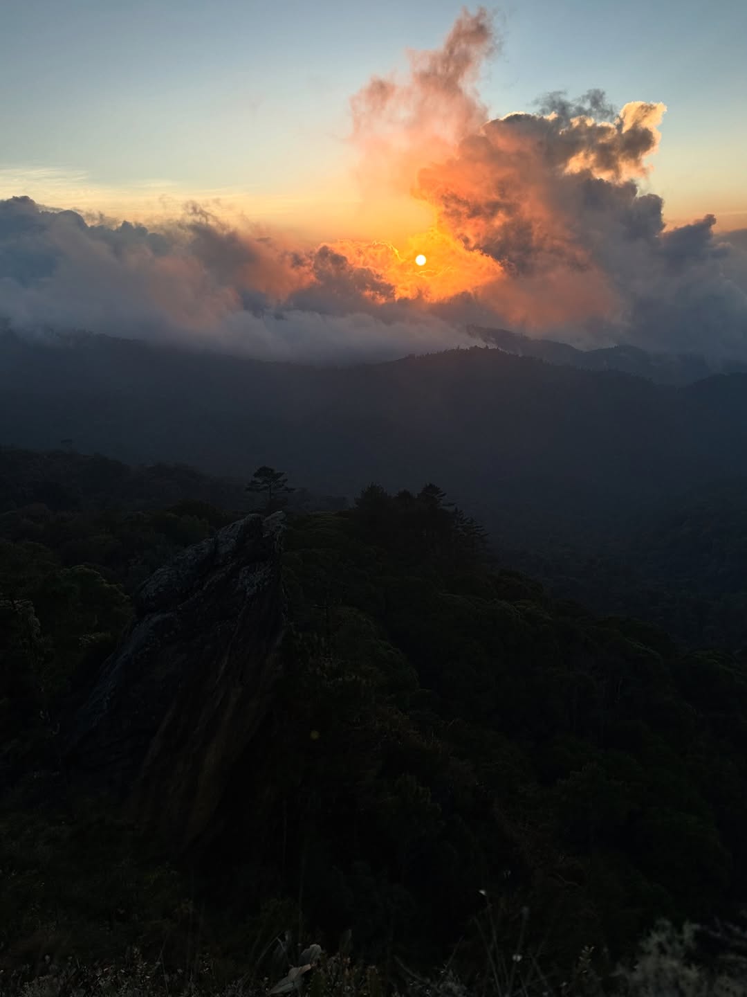 Thumbnail of www-instagram-com-p-dtvx-7bjcyi 5