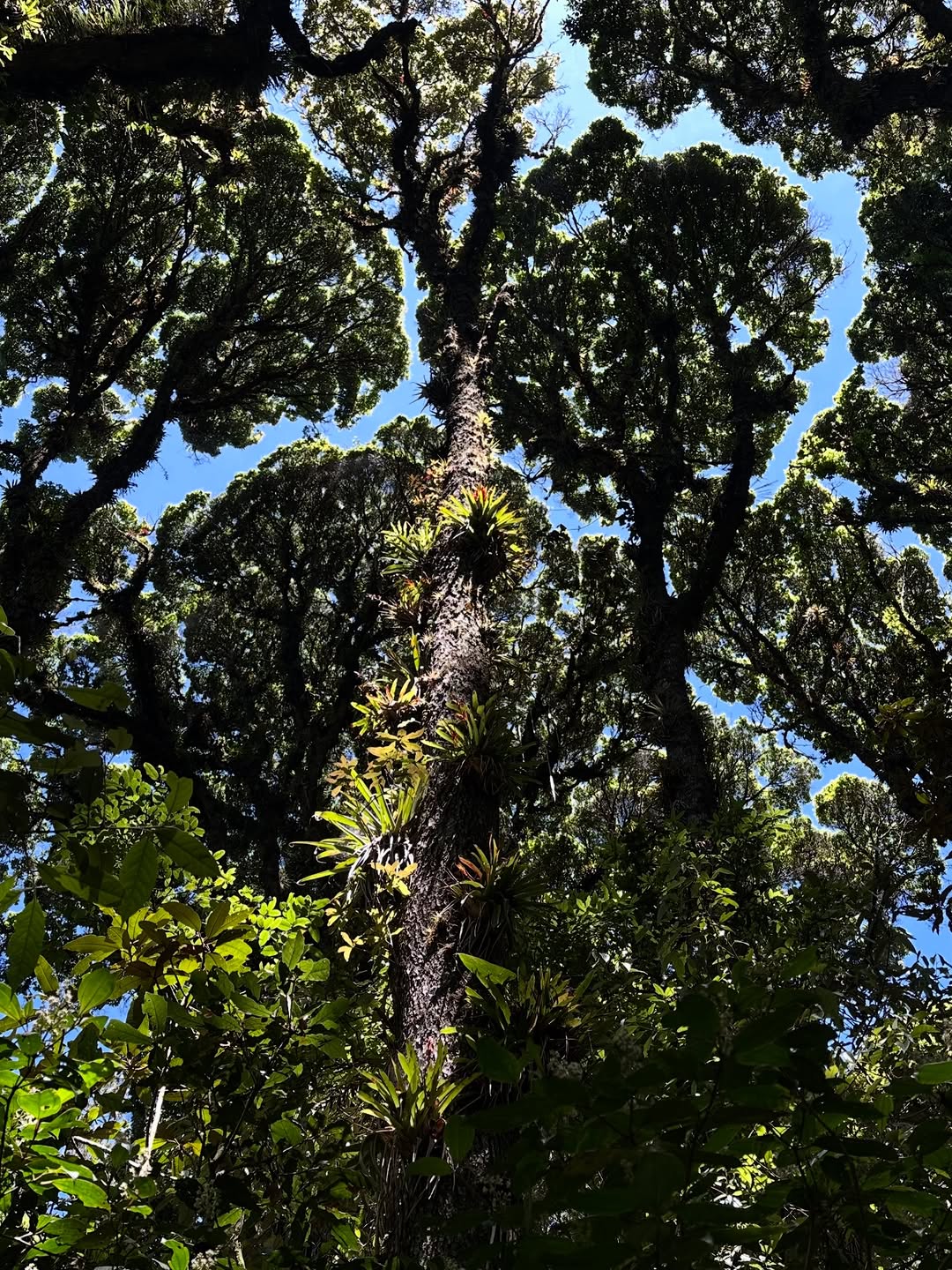 Thumbnail of www-instagram-com-p-dtvx-7bjcyi 6