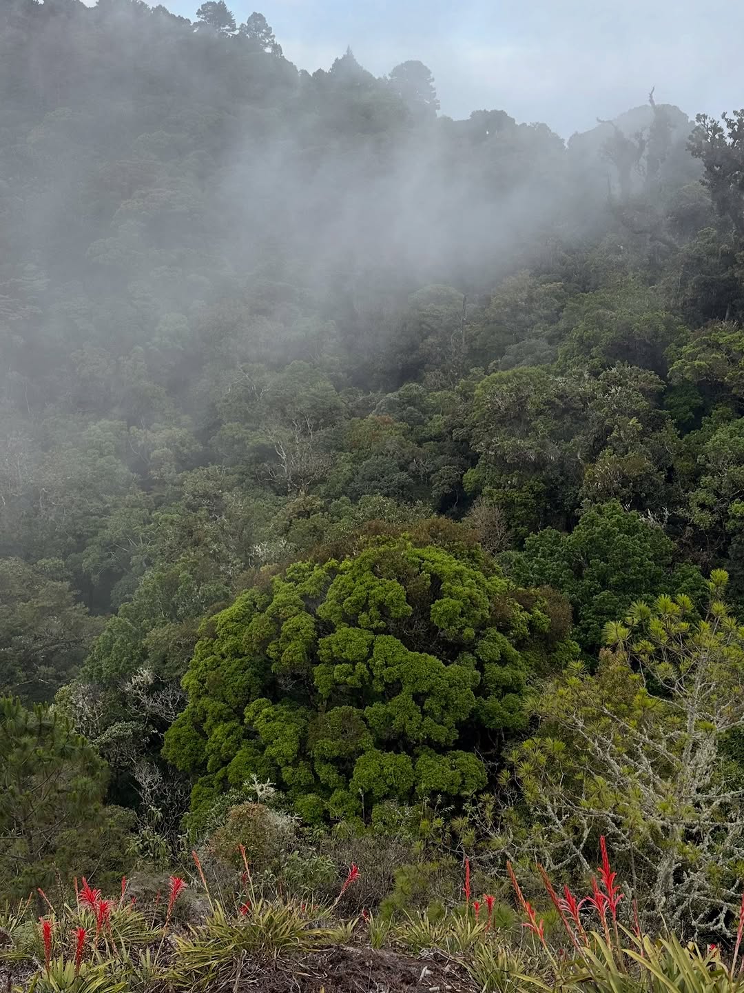 Thumbnail of www-instagram-com-p-dtvx-7bjcyi 7