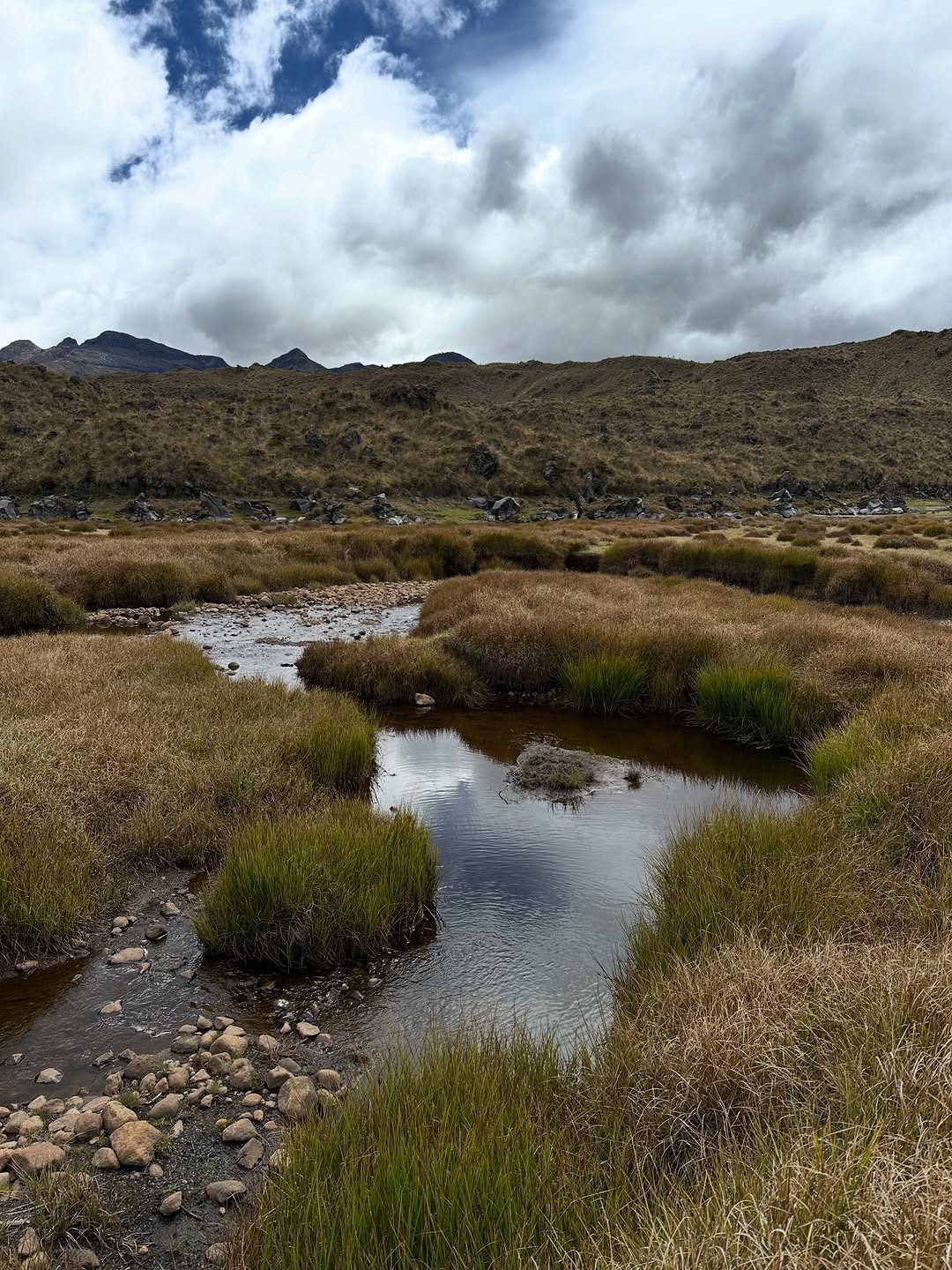 Thumbnail of www-instagram-com-p-dtvx-7bjcyi 8